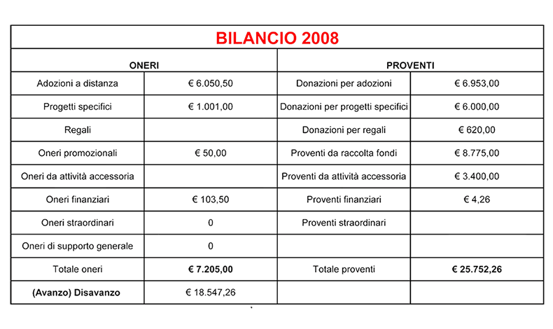 bilancio-2008