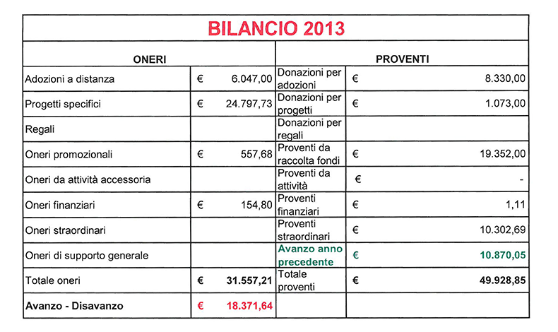 bilancio-2013